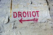 Dronot